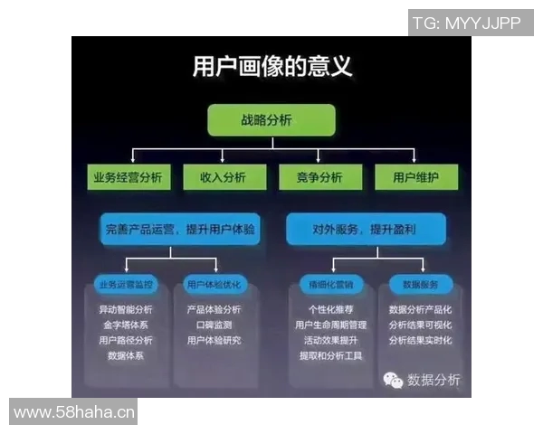 深入探讨上海飞盘队战术表现与数据分析的关系与启示